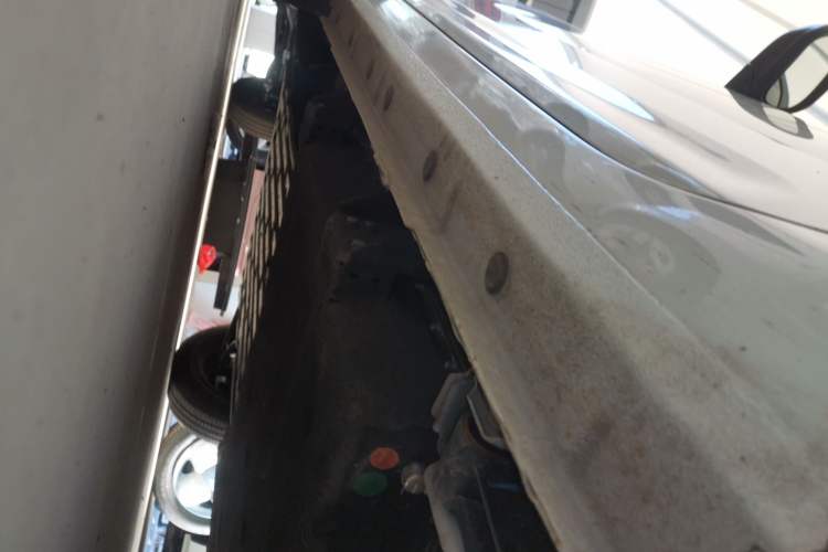 Used  Panda 2024 Panda Mini 200km Endurance Bear
