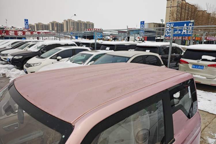 Used  Panda 2024 Panda Mini 200km Endurance Bear
