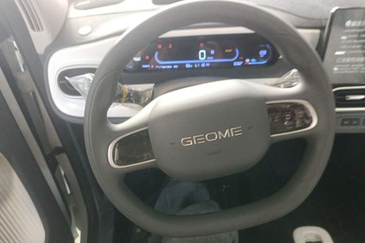 Used  Panda 2025 210 km – Yuanqi Bear