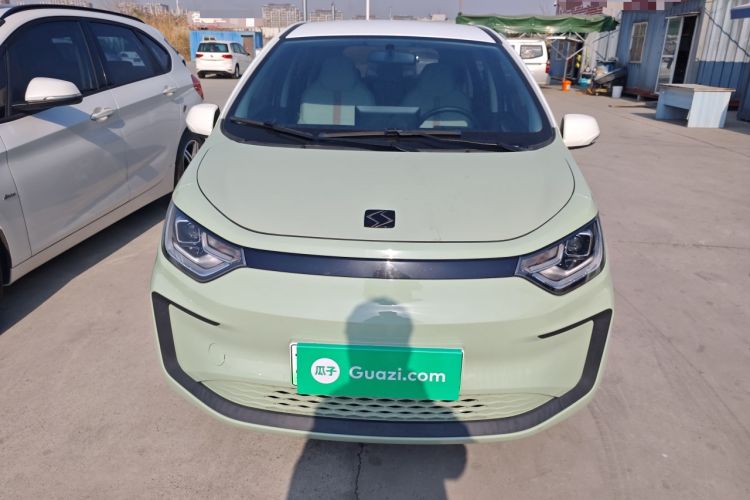 Used SOL E10X 2022 Flower Fairy Design Four-Leaf Clover