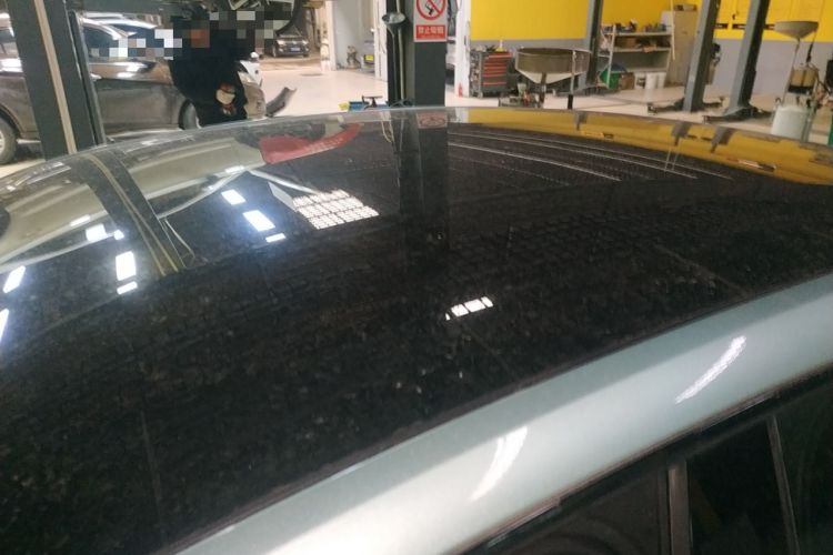 Used  SL03 2023 515MAX Pure Electric Version