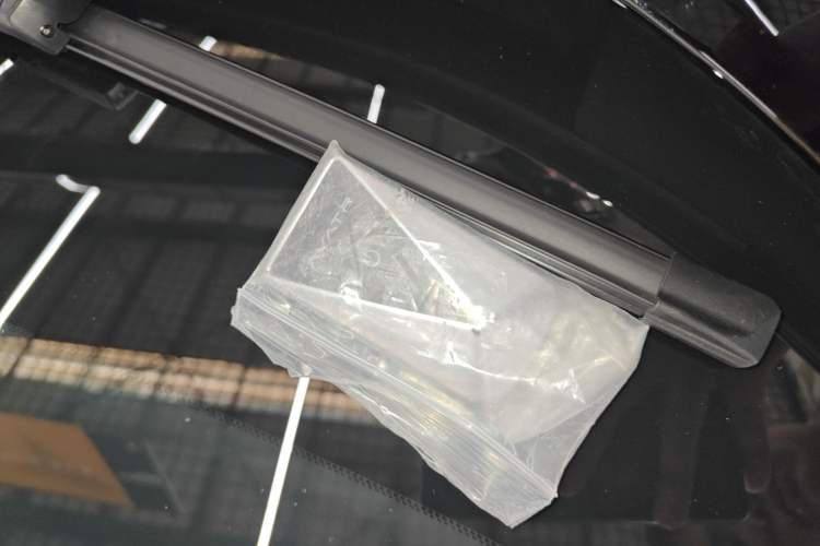 Used  07 2024 Max Extended-Range Edition
