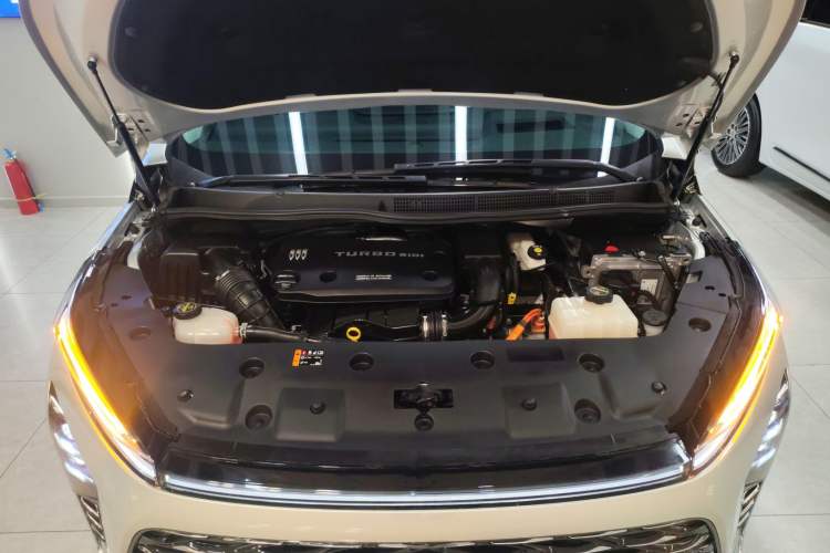 Used Buick GL8 New Energy 2024 Lu Zun Luxury Edition 7-Seater
