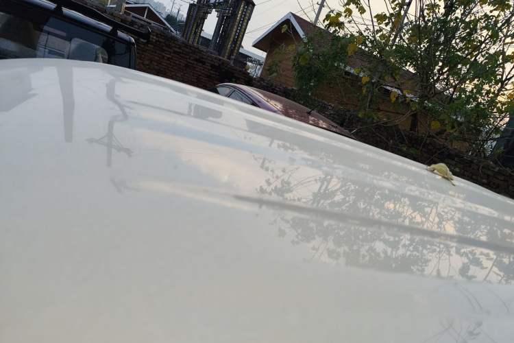 Used  Panda 2025 210 km – Yuanqi Bear
