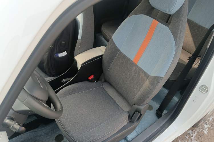 Used  Panda 2024 Panda Mini 200km Endurance Bear
