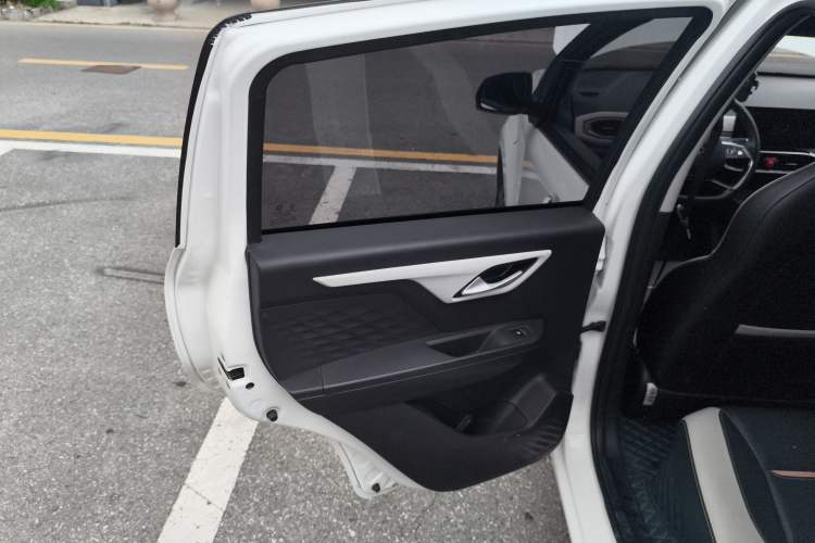 Used SOL E10X 2022 Flower Fairy Style Baby's Breath
