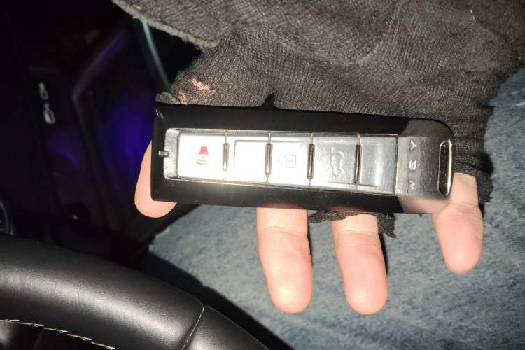 Used Tank 300 2021 Off-Road Edition 2.0T Conqueror
