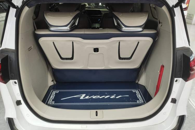 Used Buick GL8 2021 ES Landtrek 653T Comfort Edition
