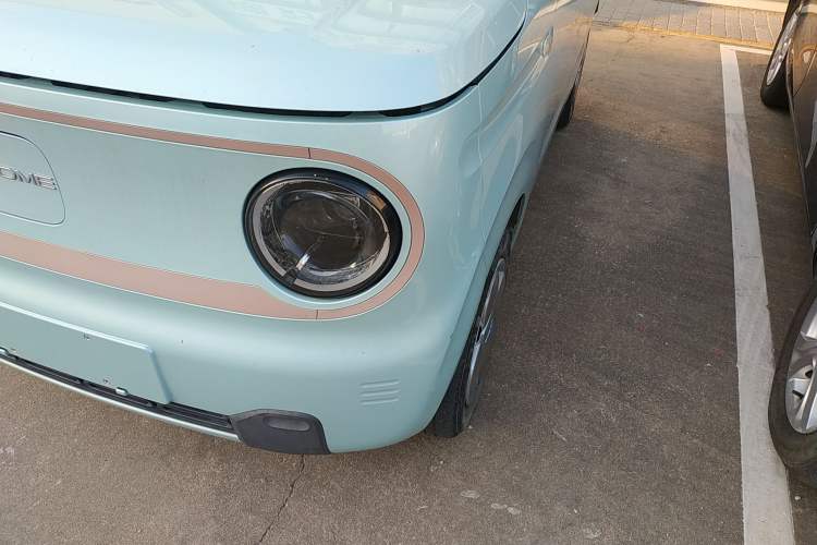 Used  Panda 2023 Panda Mini 200km Endurance Bear
