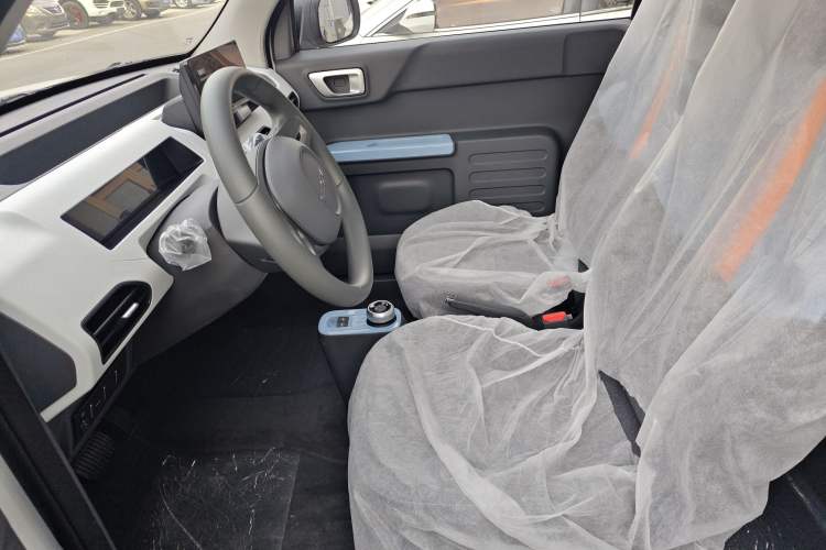 Used  Panda 2024 Panda Mini 200km Endurance Bear
