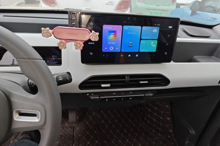 Used  Panda 2024 Panda Mini 200km Endurance Bear