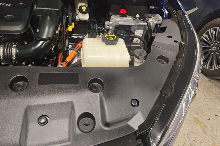 Used Buick GL8 New Energy 2024 Lu Zun Luxury Edition 6-Seater
