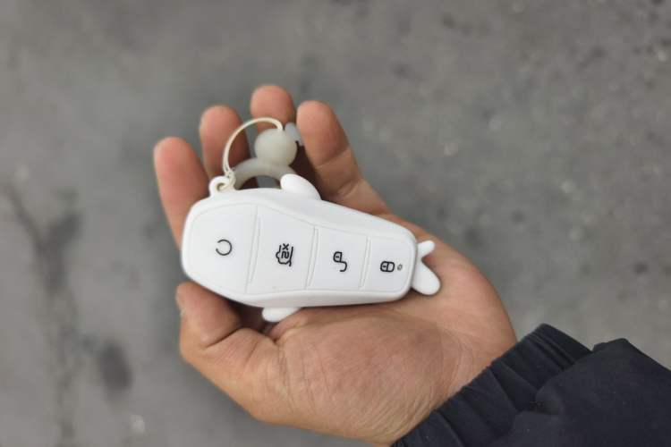 Used BYD Seal 2025 650 Long-Range Version