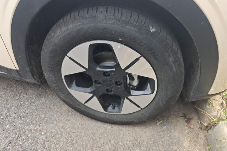 Used  Geome 2025 310km Dream Edition
