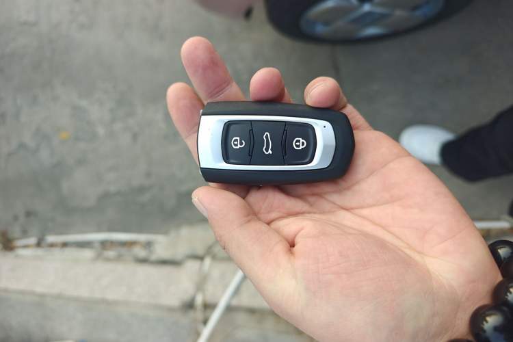 Used  Panda 2024 Panda Mini 200km Endurance Bear
