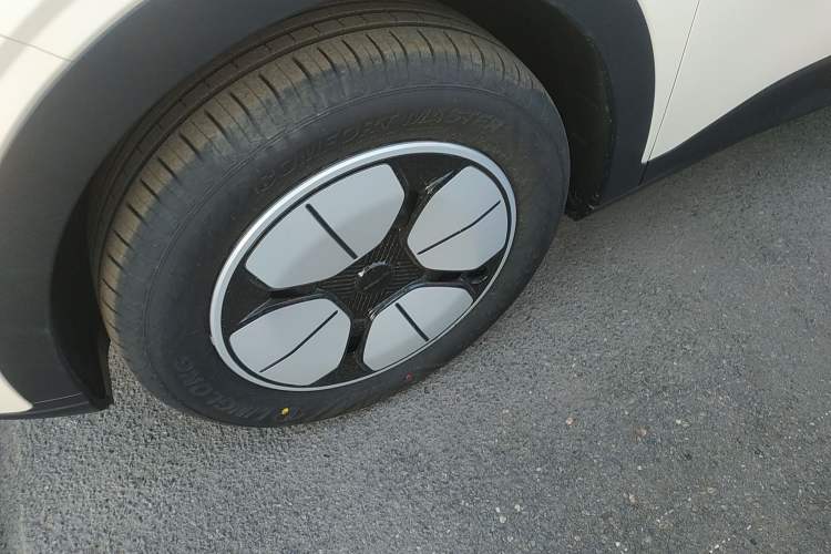 Used  Geome 2025 310km Youth Edition
