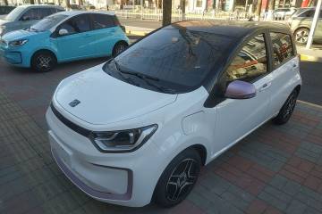 Used SOL E10X 2022 Flower Fairy Design Four-Leaf Clover