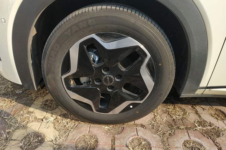 Used BYD Dolphin 2025 Smart Drive Version 420 km Freedom Edition
