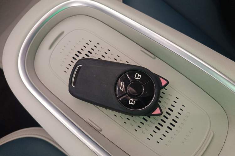 Used ORA Good Cat 2023 401 km Standard Range Luxury Version Lithium Iron Phosphate