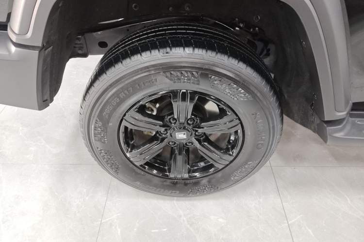 Used Tank 300 2024 2.0T Conqueror
