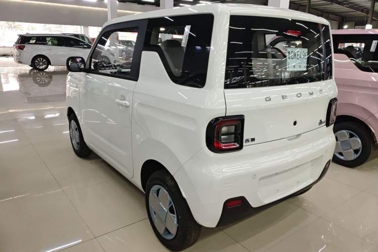 Used  Panda 2024 Panda Mini 200km Endurance Bear
