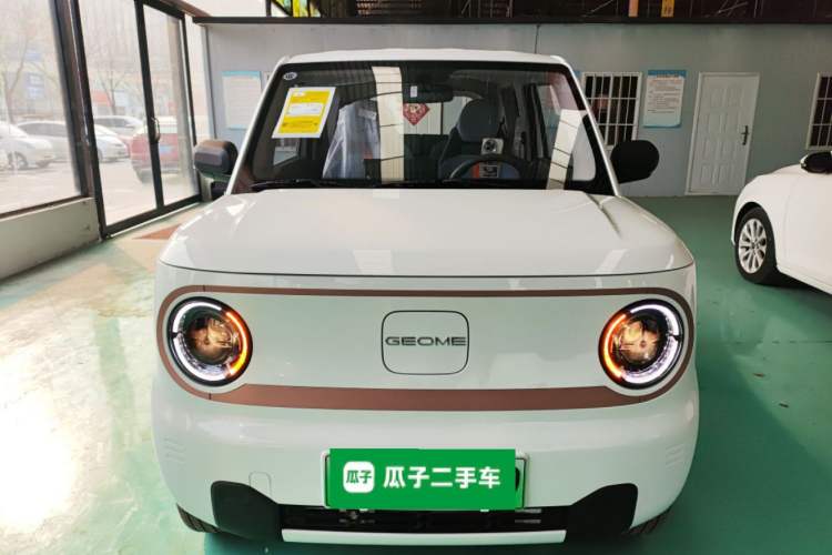Used  Panda 2024 Panda Mini 200km Endurance Bear