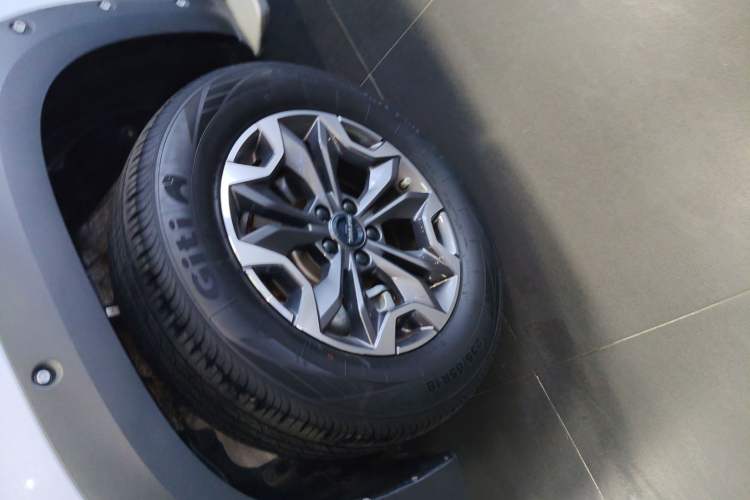 Used Haval DARGO 2022 2.0T DCT 4x4 Chinese Rural Dog Hunting Edition
