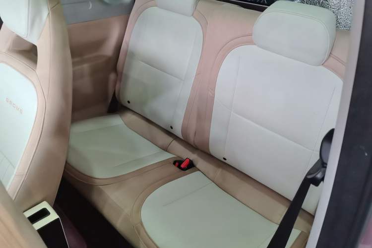 Used  Panda 2023 Panda Mini 200km Dynamic Bear
