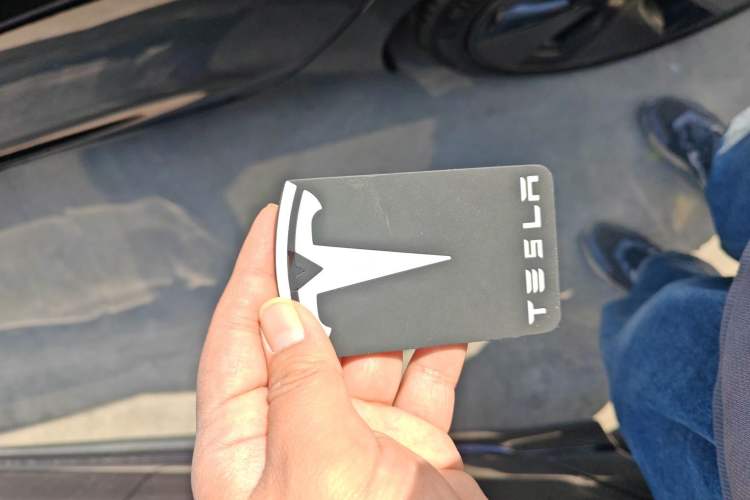 Used Tesla Model 3 2021 Standard Range Rear-Drive Upgraded Version
