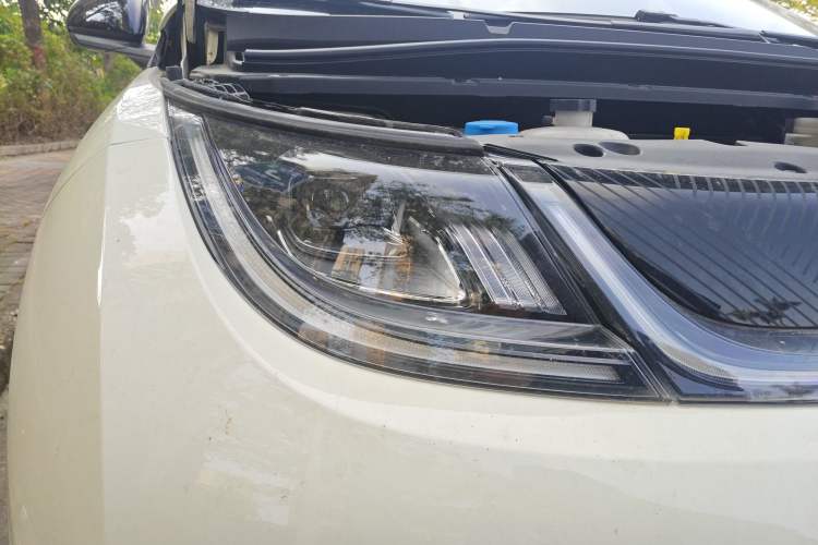 Used BYD Dolphin 2024 Honor Edition 420km Freedom Version