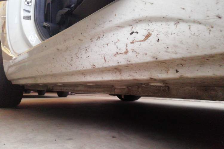 Used Roewe Clever 2022 311km QiQi BoBo Edition
