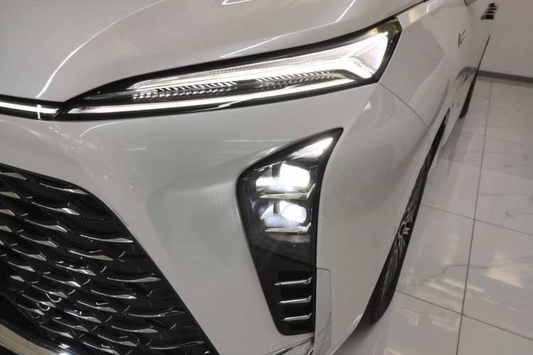 Used Buick GL8 New Energy 2024 Lu Zun Luxury Edition 6-Seater
