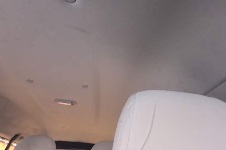 Used FORTHING Lingzhi 2020 M5L 1.6L Utility Model