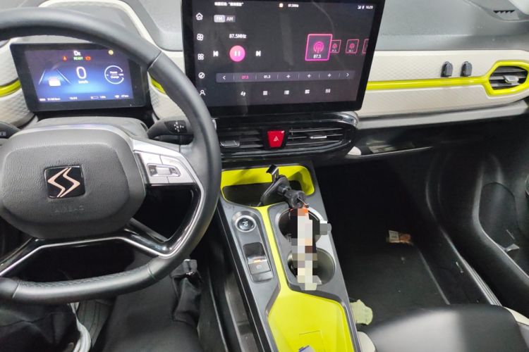 Used SOL E10X 2022 Flower Fairy Style Baby's Breath
