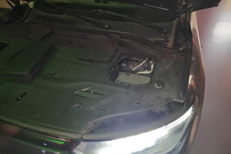 Used Leapmotor C11 2023 Pure Electric 500 Comfort Edition
