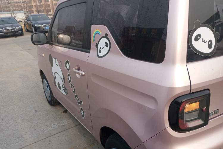 Used  Panda 2024 Panda Mini 200km Endurance Bear