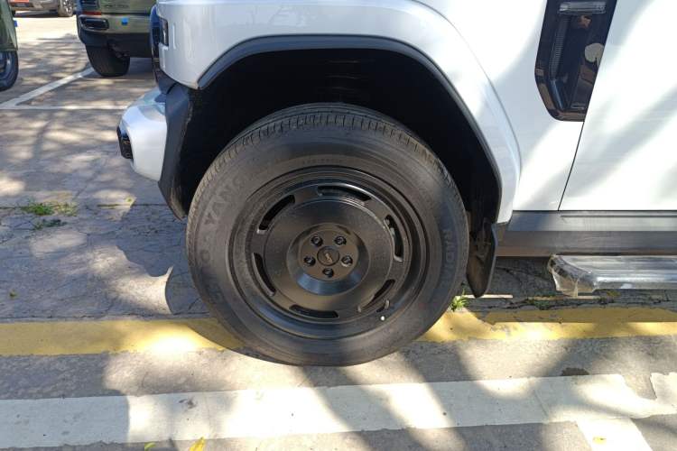 Used  V23 2025 401 Two-Wheel Drive Advanced Edition
