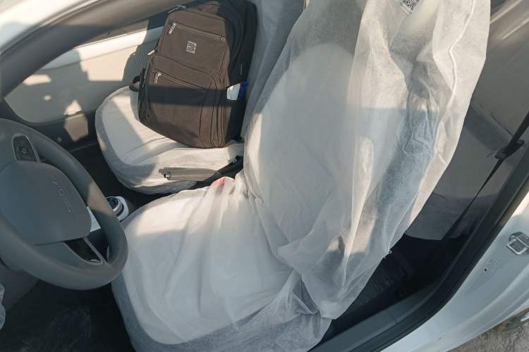 Used  Panda 2025 210 km – Yuanqi Bear
