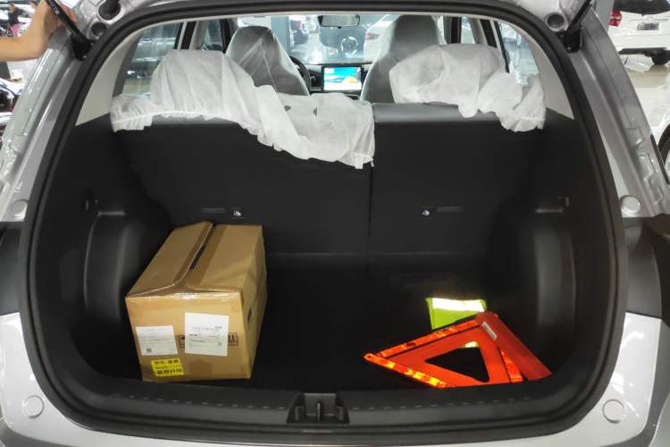 Used  Geome 2025 310km Youth Edition
