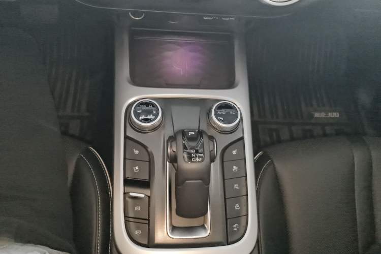 Used Tank 300 2021 City Edition 2.0T—Truly Stylish