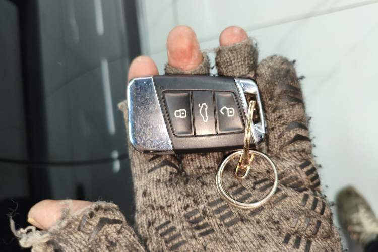 Used Volkswagen Magotan 2020 330TSI DSG Luxury Edition