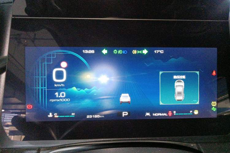 Used Haval DARGO 2024 2.0T DCT Chinese Rural Dog Edition
