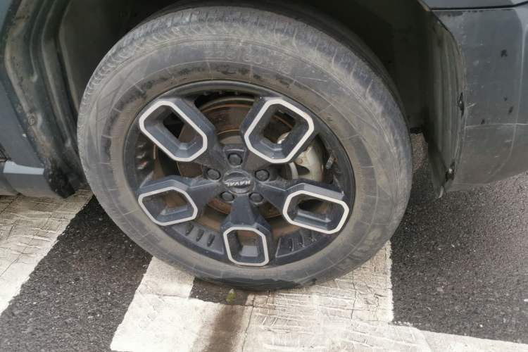 Used Haval X DOG 2022 1.5T DCT Two-Wheel Drive Trendy Edition