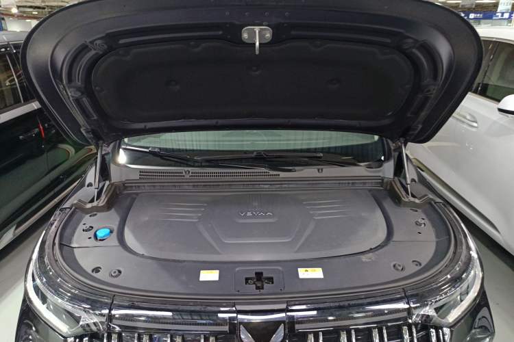 Used VOYAH Dream 2022 Low-Carbon Edition Dream+ Smart Enjoyment Package
