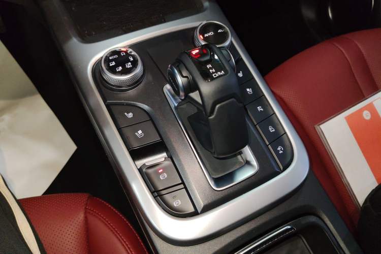 Used Tank 300 2024 2.0T Crosser
