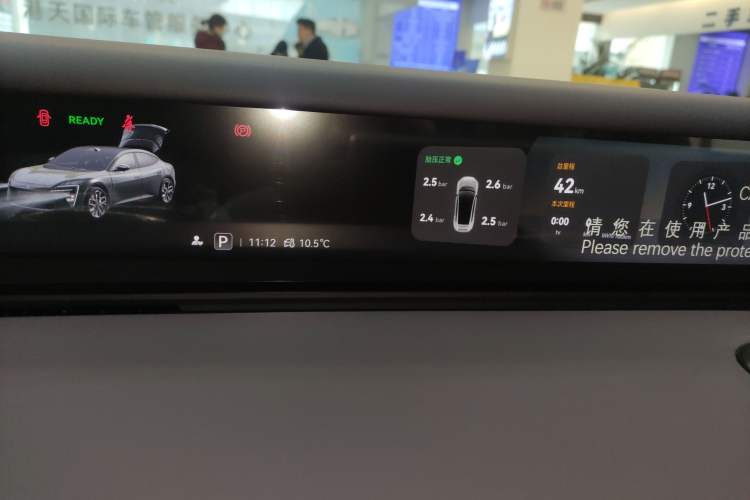 Used  06 2025 Ultra Pure Electric Edition