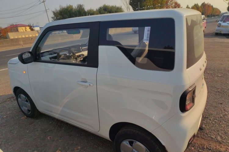 Used  Panda 2024 Panda Mini 200km Endurance Bear
