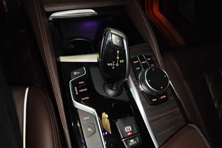 Used BMW 5 Series New Energy 2020 530Le Luxury Package
