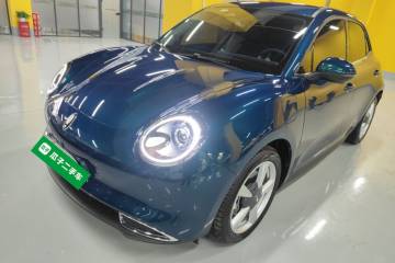 Used ORA Good Cat 2023 401 km Standard Range Luxury Version Lithium Iron Phosphate