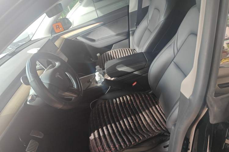 Used Tesla Model Y 2021 Standard Range Rear-Wheel Drive Version
